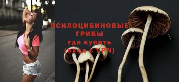 гидропоника Бугульма