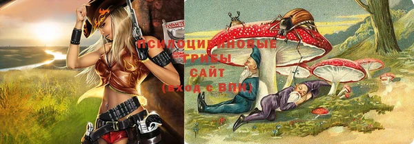 гидропоника Бугульма