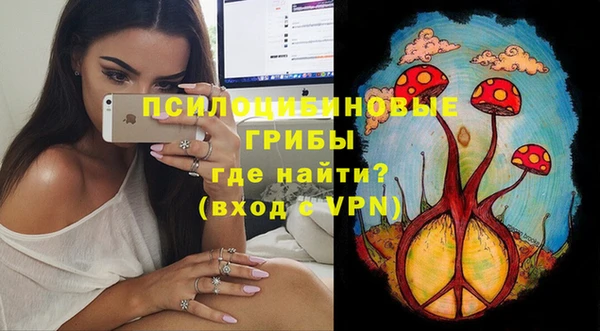 прущая мука Бородино
