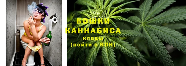 прущая мука Бородино