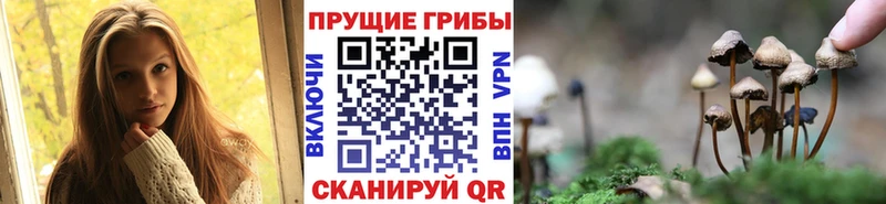 Галлюциногенные грибы GOLDEN TEACHER  продажа наркотиков  Карачев 