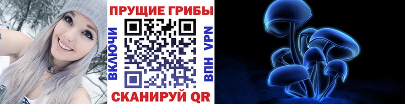 Галлюциногенные грибы ЛСД Карачев