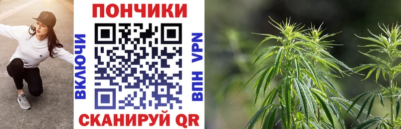 KRAKEN онион  наркотики  Карачев  Бошки Шишки сатива 